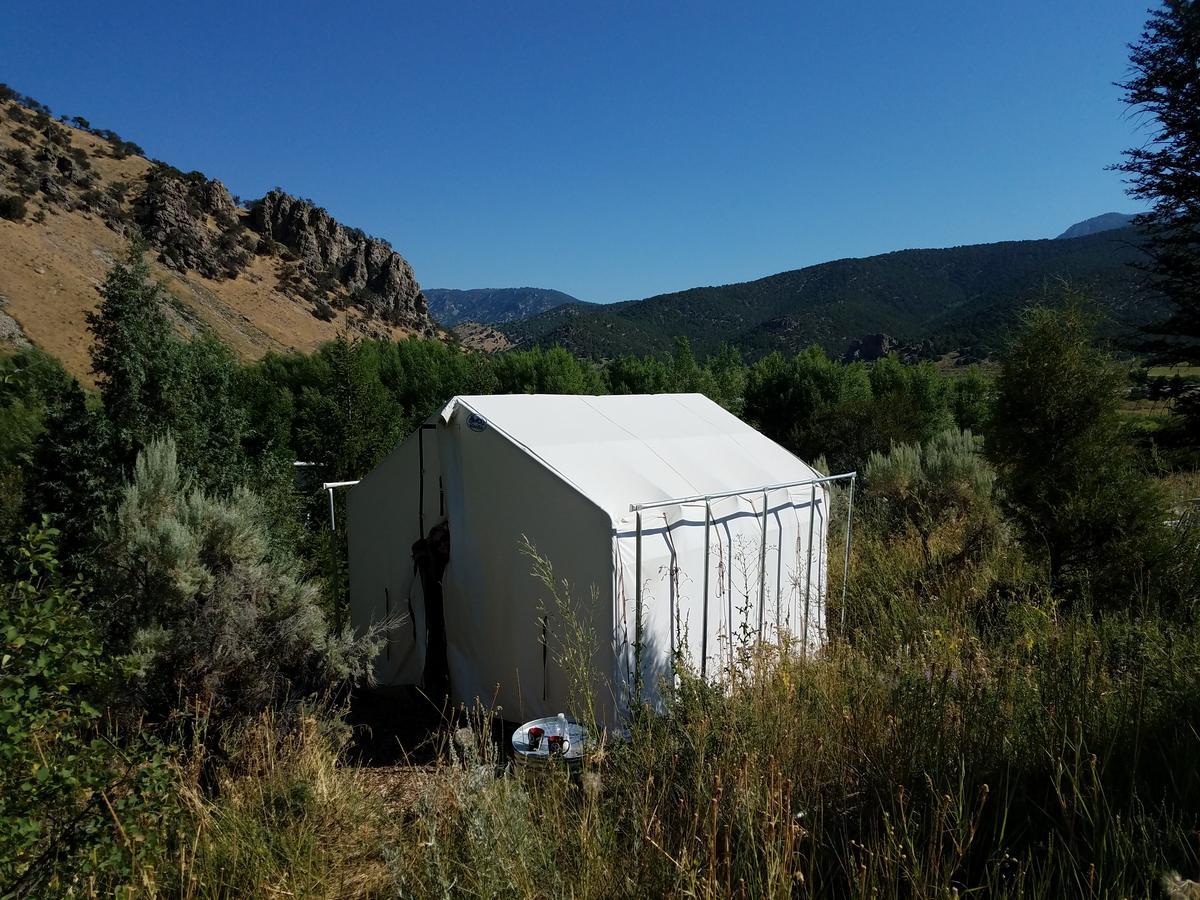 Bristol Cabins Lava Hot Springs Buitenkant foto